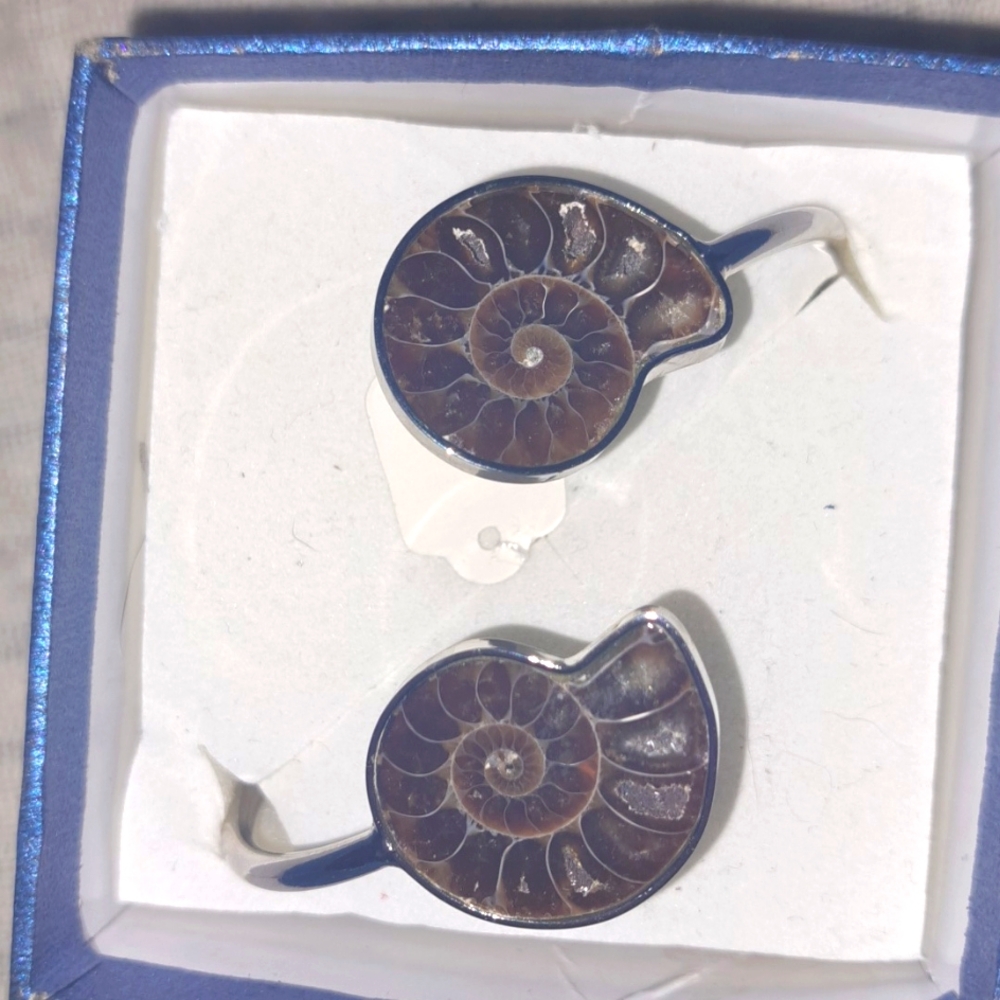 NWT Ammonite Open Bangle Bracelet
